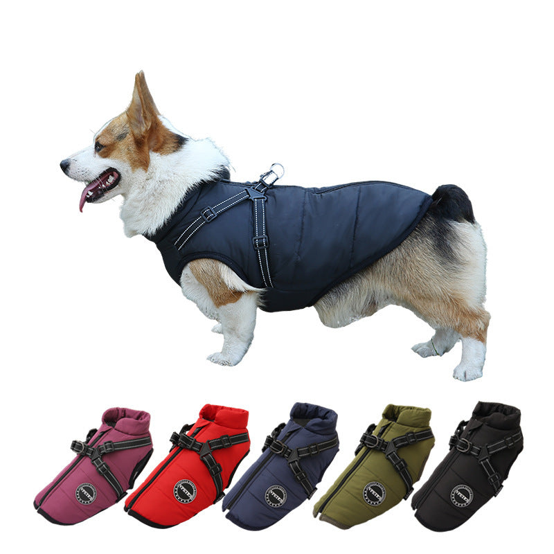 Multicolor pet clothes (warm)