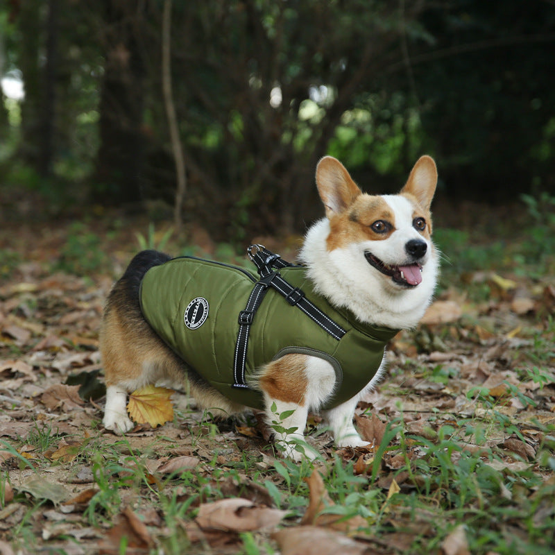 Multicolor pet clothes (warm)