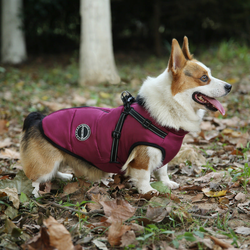 Multicolor pet clothes (warm)