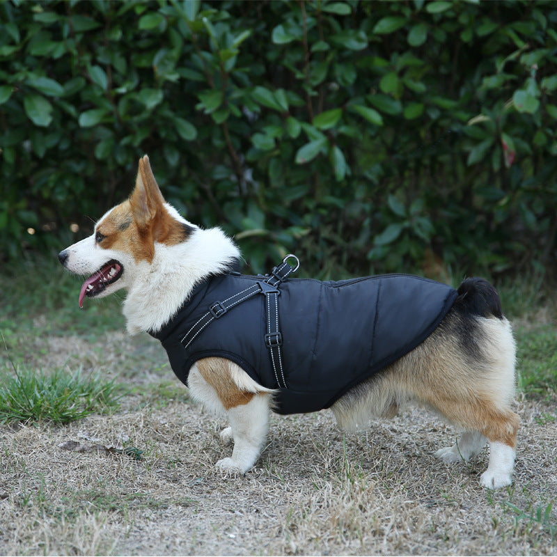 Multicolor pet clothes (warm)