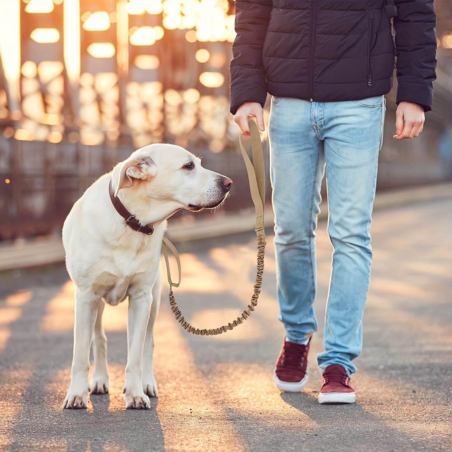 Retractable dog leash (durable)