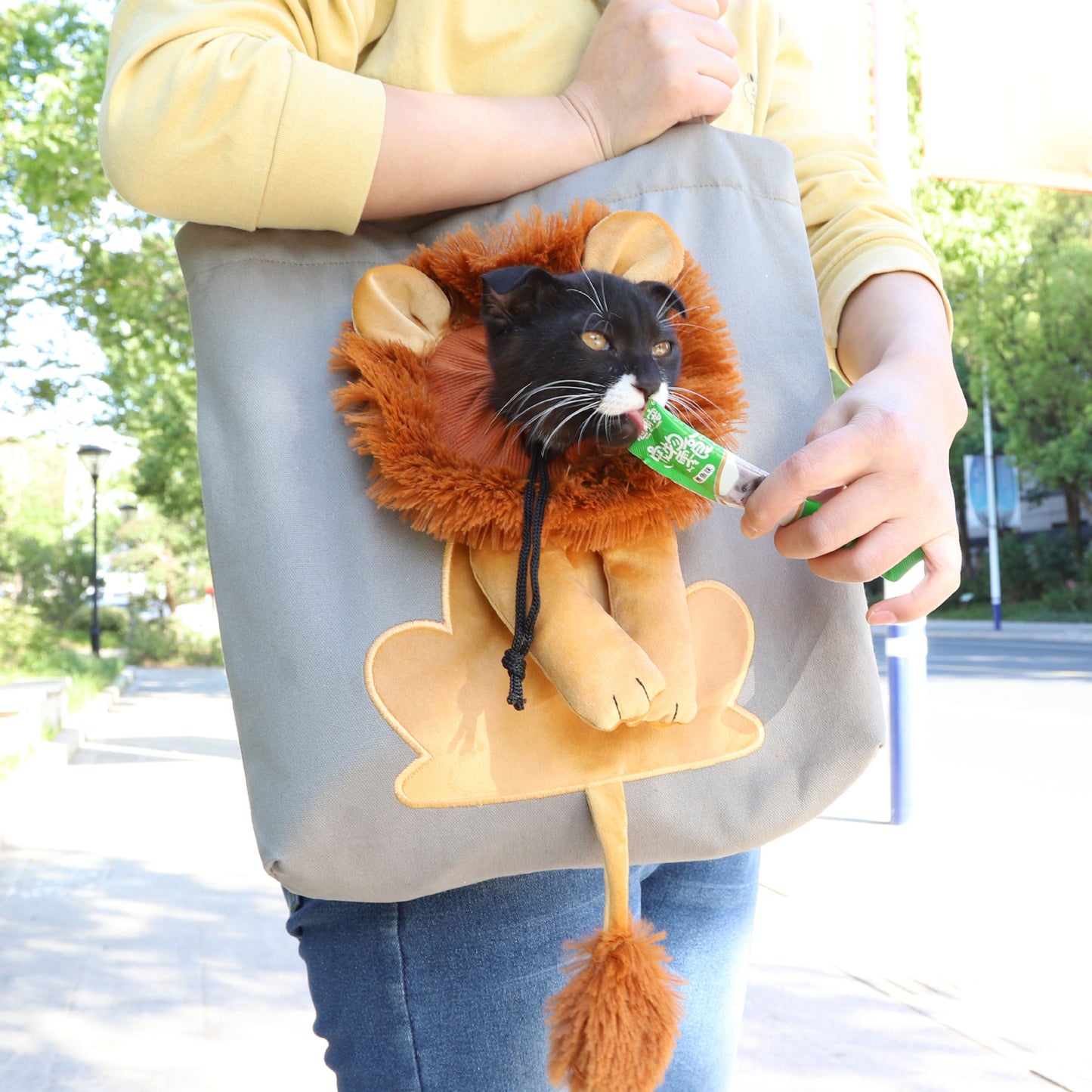 Lion-design pet carrier (breathable)