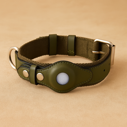 Airtag dog collar (tracking)