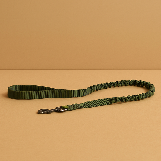 Retractable dog leash (durable)