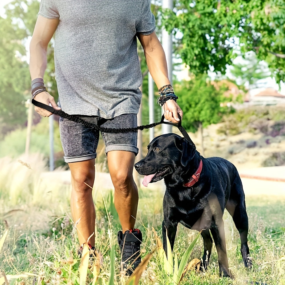 Retractable dog leash (durable)